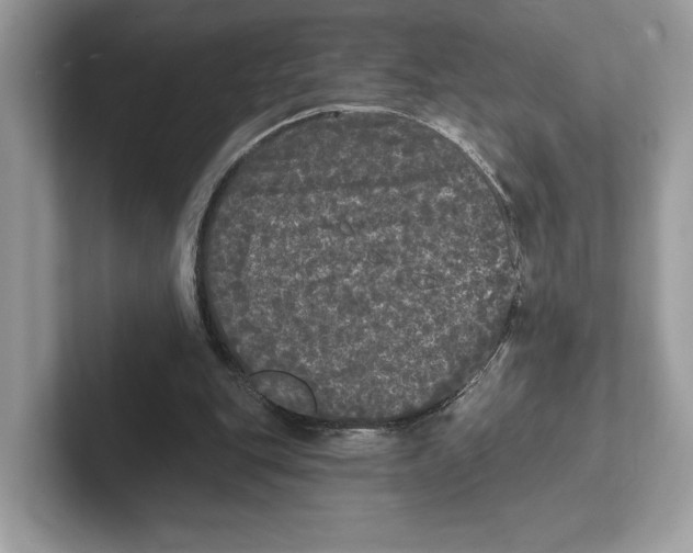 X0000101450151200807280946