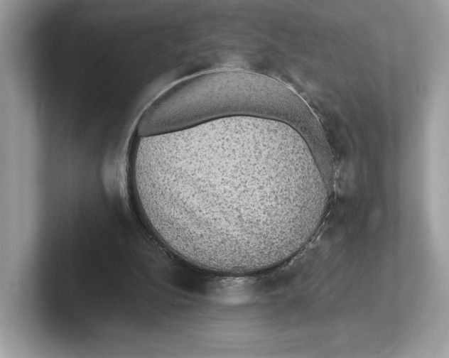 X0000101450152200807280946