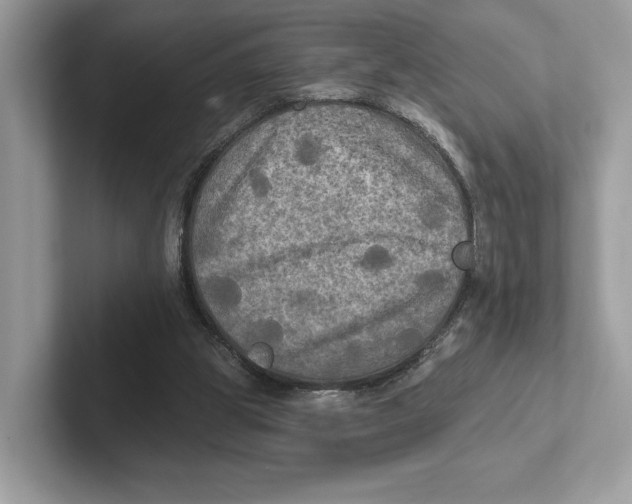 X0000101450153200807280946