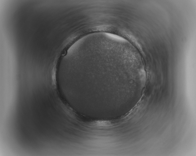 X0000101450154200807280946