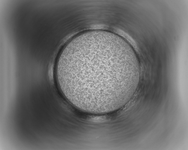 X0000101450155200807280946