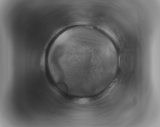 X0000101450156200807280946