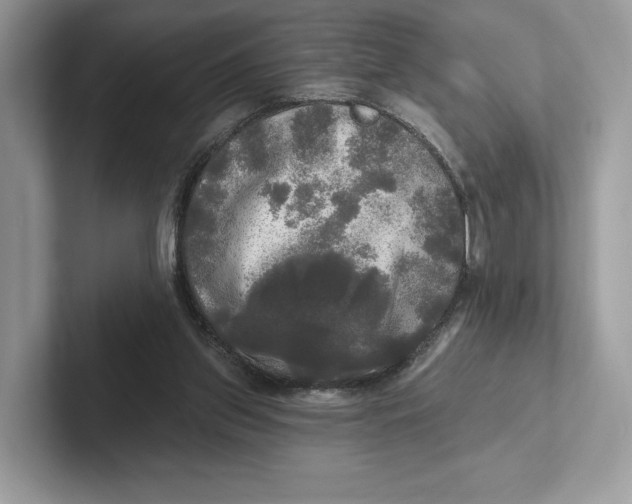 X0000101450157200807280946