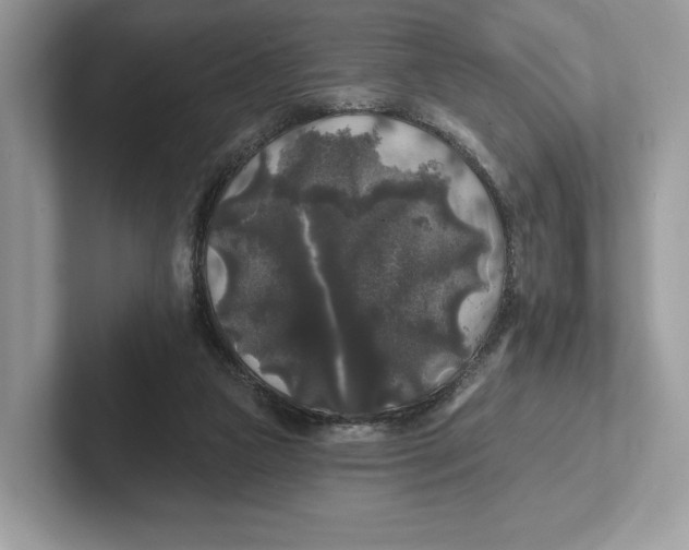 X0000101450161200807280946