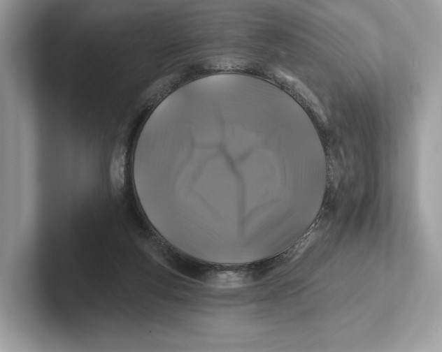 X0000101450163200807280946