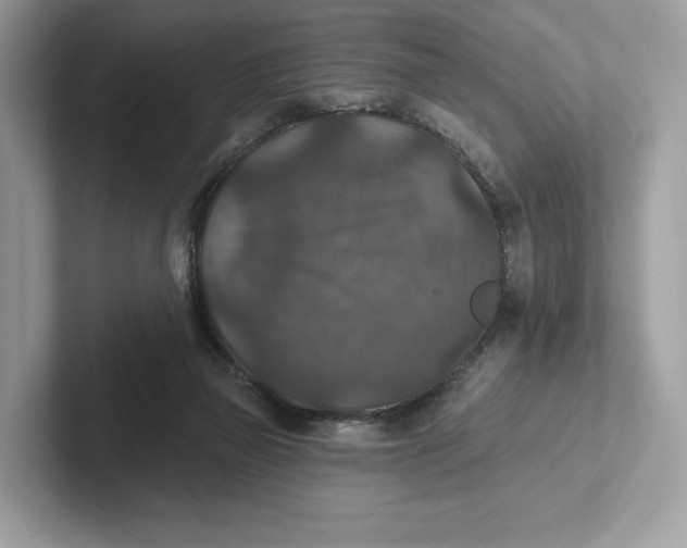 X0000101450165200807280946