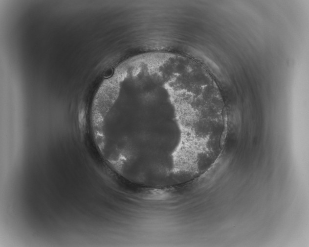 X0000101450166200807280946