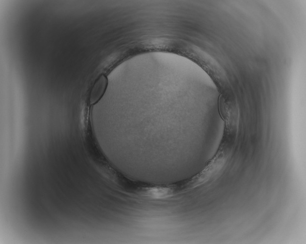 X0000101450168200807280946