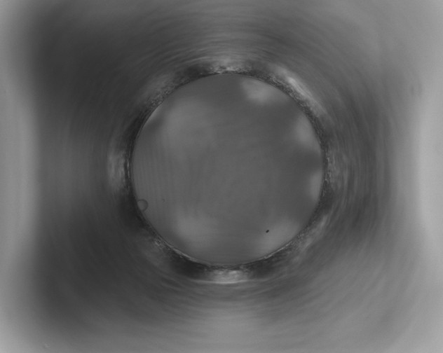 X0000101450169200807280946