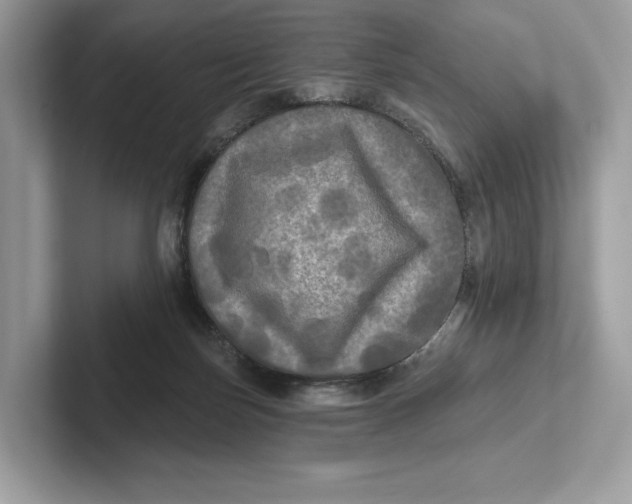 X0000101450171200807280946