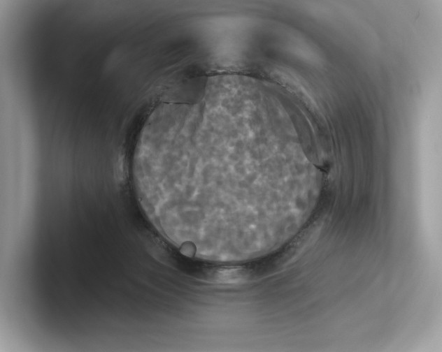 X0000101450173200807280946