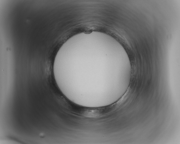 X0000101450174200807280946