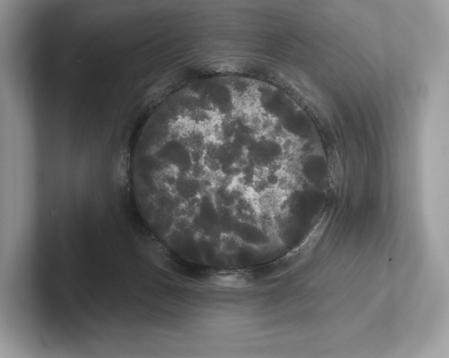 X0000101450175200807280946