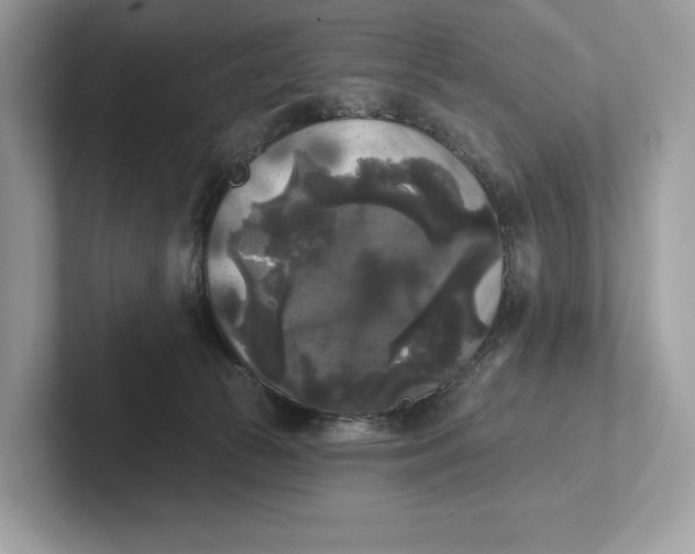 X0000101450177200807280946