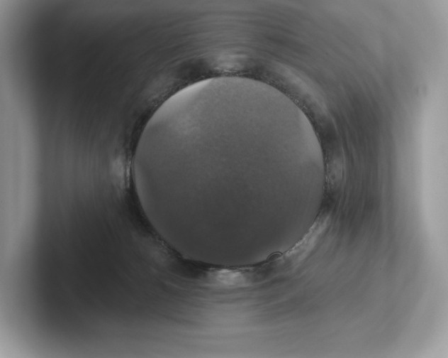 X0000101450180200807280946