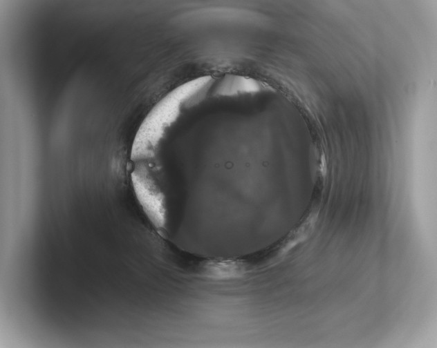 X0000101450181200807280946