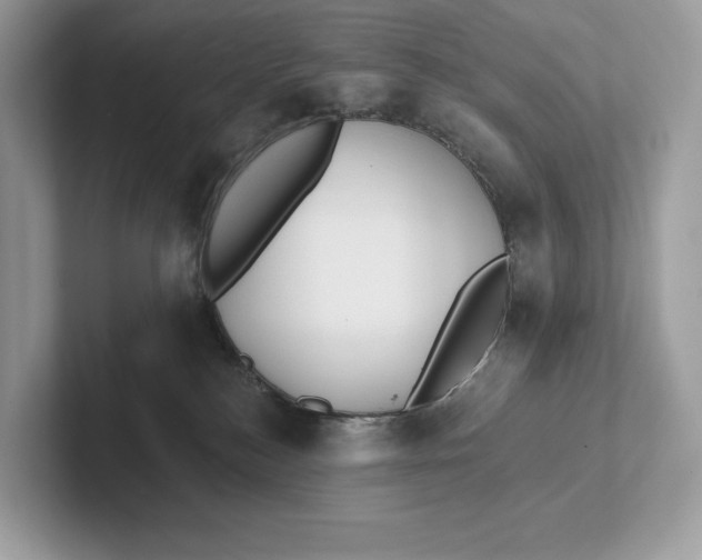 X0000101450184200807280946