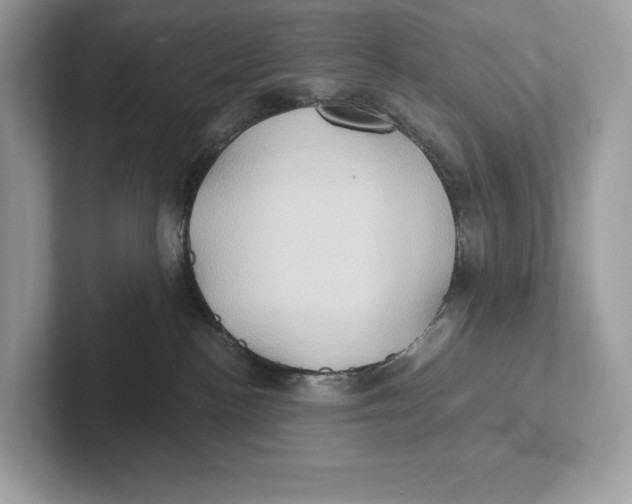 X0000101450188200807280947