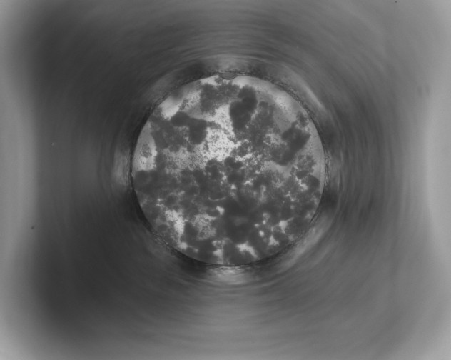 X0000101450189200807280947