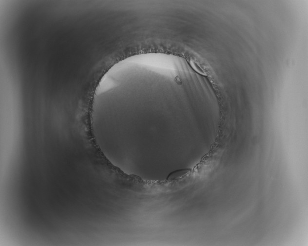 X0000101450192200807280947