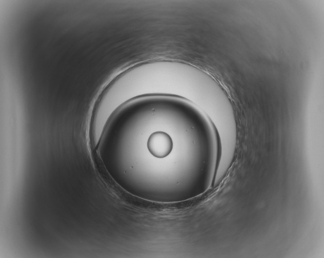 X0000101450196200807280946