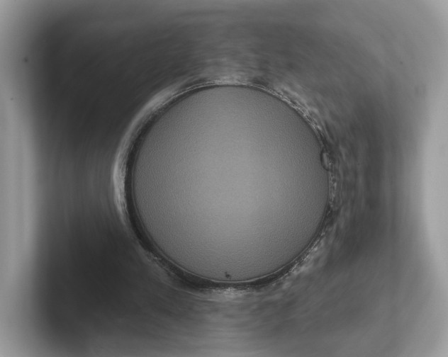 X0000101450197200807280946