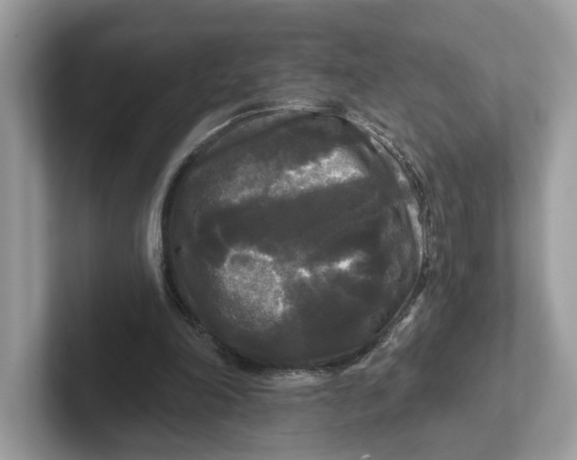 X0000101450198200807280946