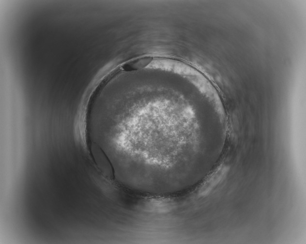 X0000101450199200807280946