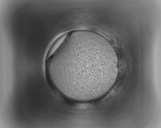 X0000101450200200807280946