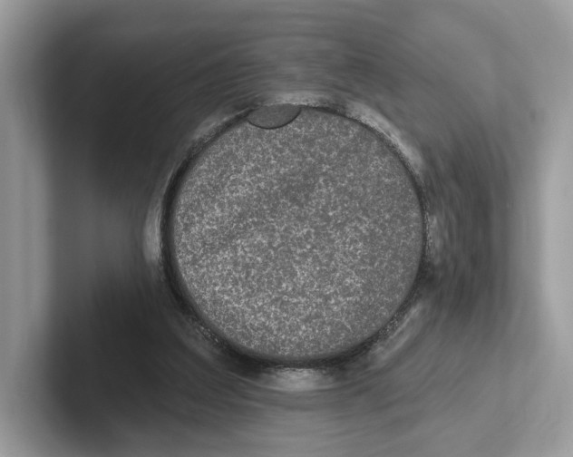 X0000101450203200807280946