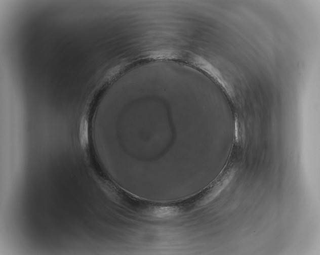 X0000101450205200807280946