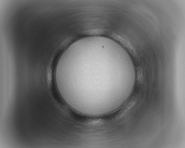 X0000101450206200807280946