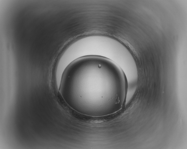 X0000101450208200807280946