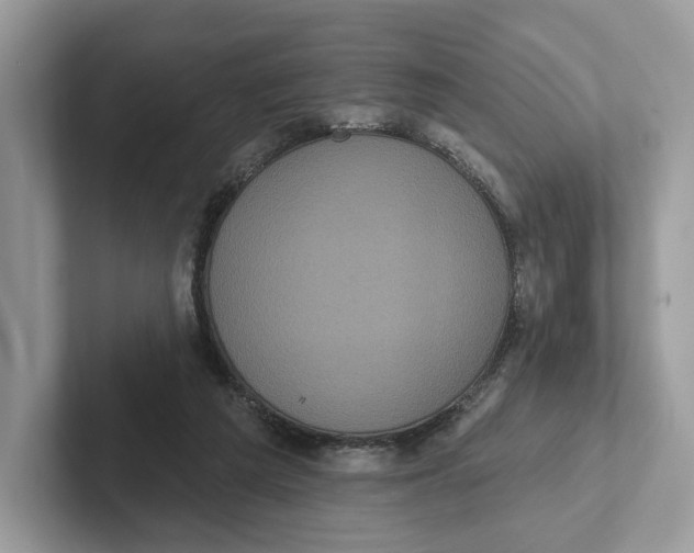 X0000101450209200807280946