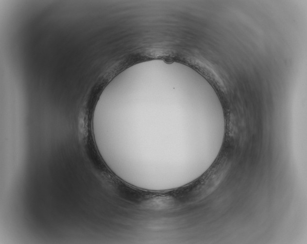 X0000101450210200807280946