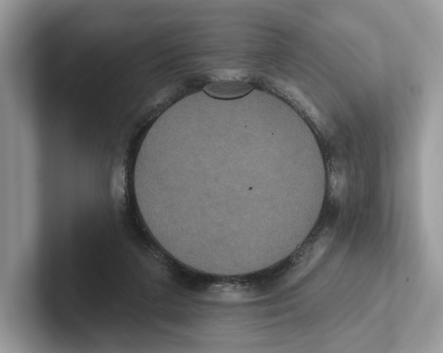 X0000101450211200807280946