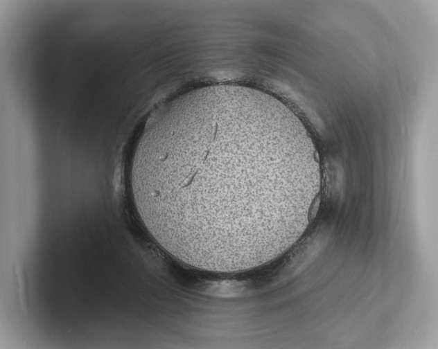 X0000101450212200807280946