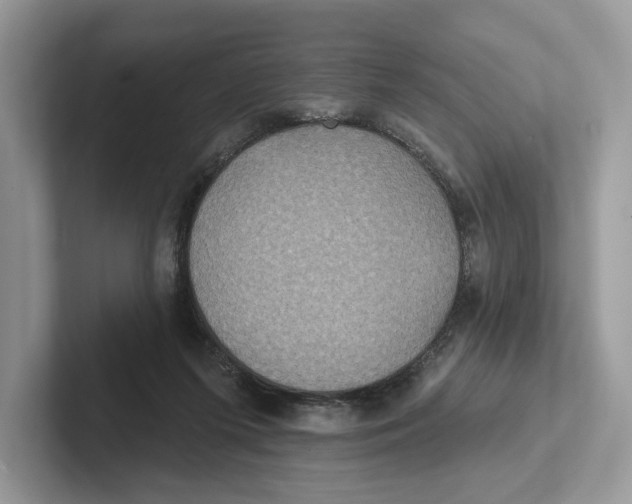 X0000101450215200807280946