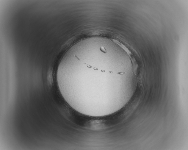 X0000101450216200807280946