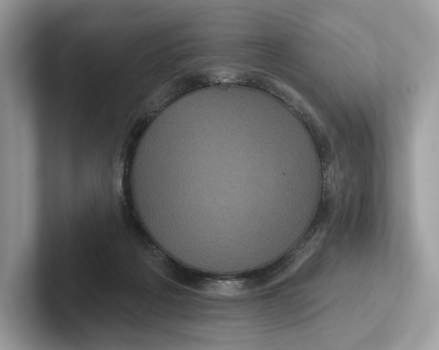 X0000101450217200807280946