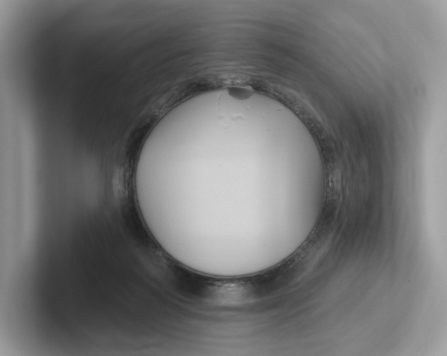 X0000101450218200807280946