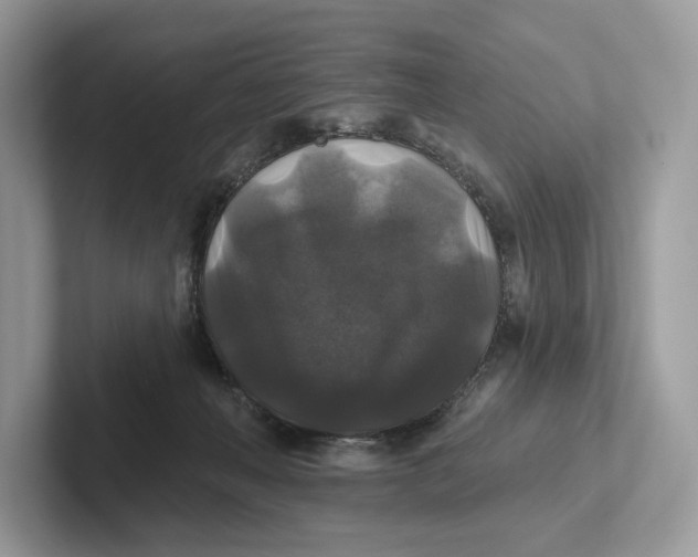 X0000101450222200807280946