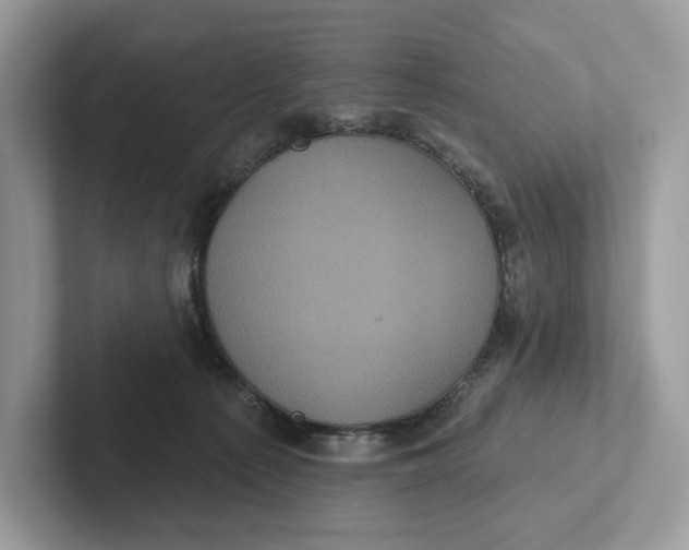 X0000101450225200807280946