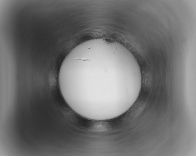 X0000101450226200807280946