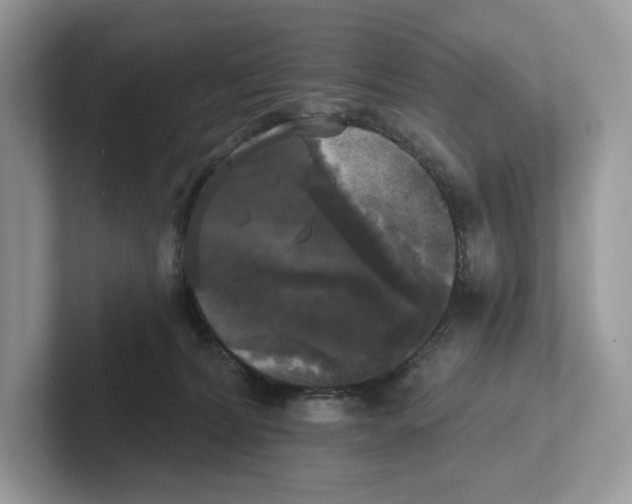 X0000101450228200807280946