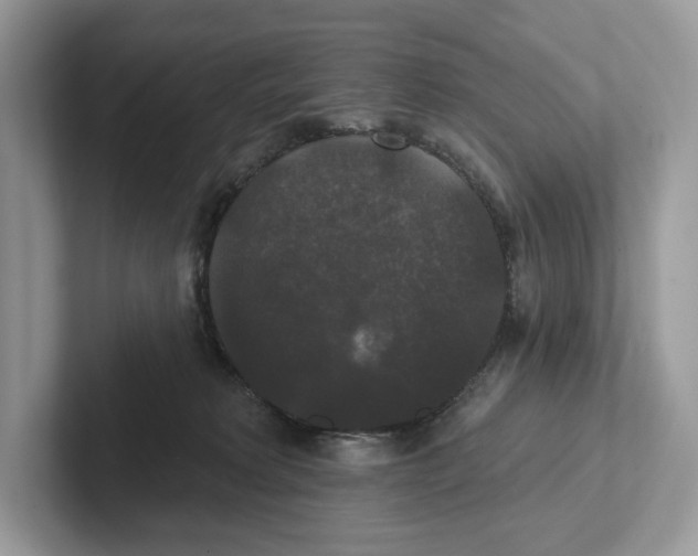 X0000101450229200807280946