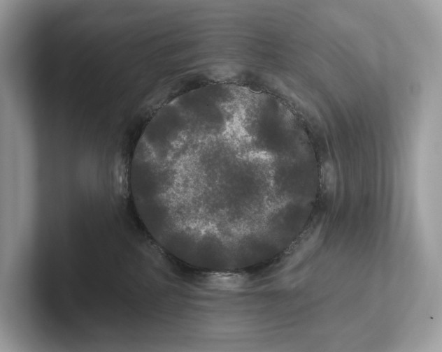 X0000101450234200807280945