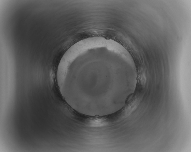 X0000101450235200807280945