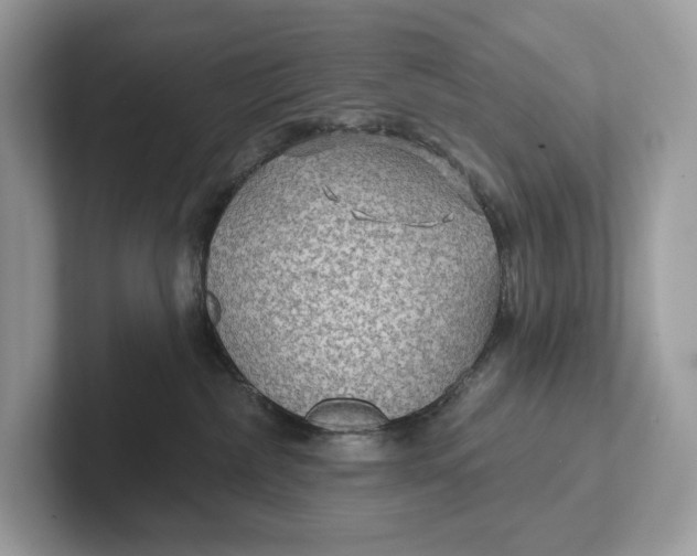 X0000101450236200807280945