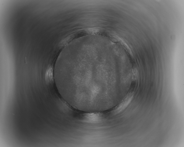 X0000101450238200807280945